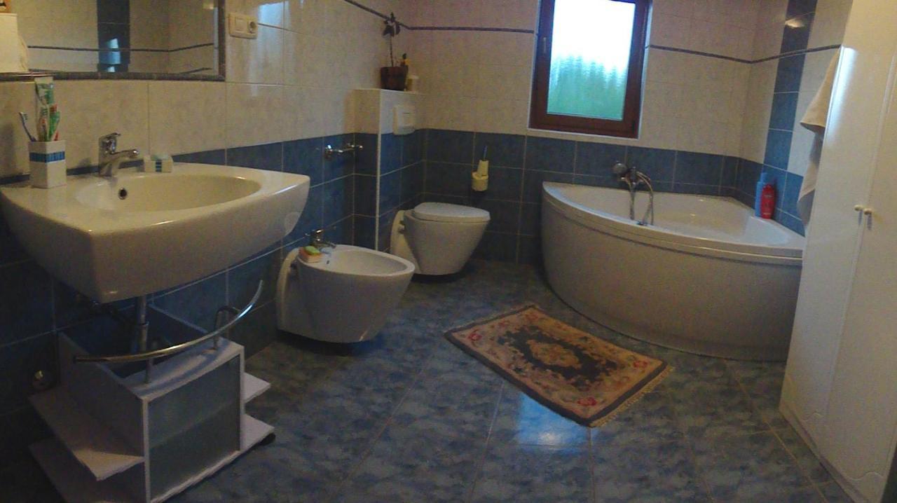 Villa Maggie Šišan Rum bild
